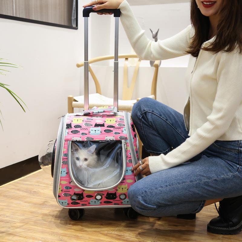 猫包外出便携笼子宠物出门猫咪太空舱背包猫书包拉杆箱