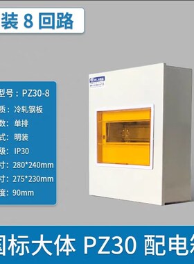 家用PZ30配电箱明装空气开关箱暗装强电箱国标大体总控开关回路箱