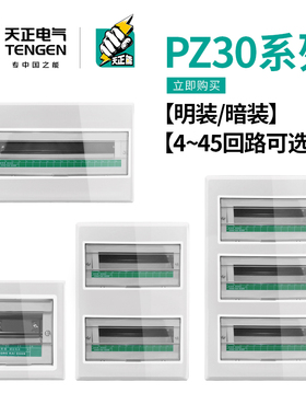 天正配电箱家用PZ30回路布线箱明暗装室内空气开关断路器强电箱盒