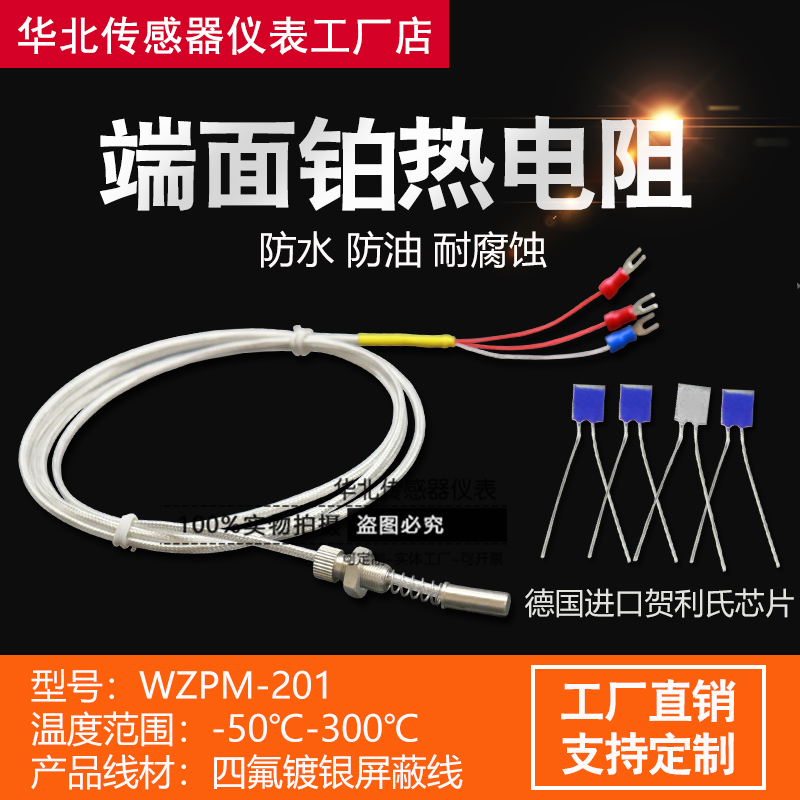 端面PT100 铂热电阻温度传感器z防水高温WZPM-201电机轴承表面探