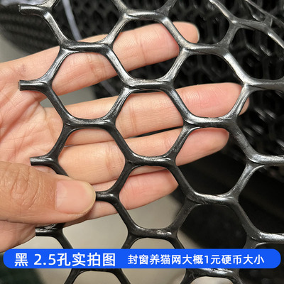 家用防盗窗网垫阳台防掉黑网片窗台小孔塑料网封窗防猫咪坠落护网