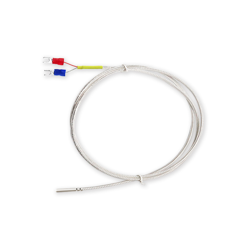 二线PT1000铂热电阻防水防油铁氟C龙线热电阻感温线探头两线PT100