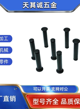 带肩铰链销MIC11-D5-L10 L12 L14 L15 L16L18 L20 L22L24 L25 L30