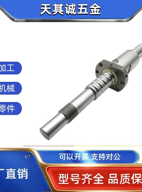 丝杠C-BSST C-BSSTK2005 10 20-200 250 800 1000 2000-F20 F36