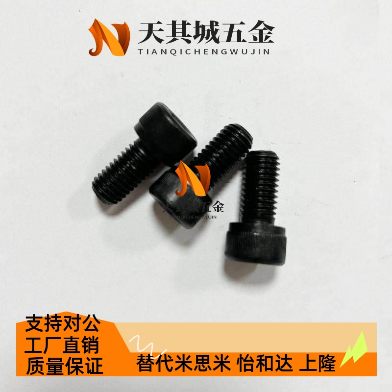 SEW/STW/STS/UTW螺丝/耐磨块螺丝/导板螺丝M10杯头圆柱头内6角