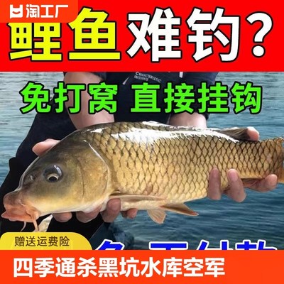 速发钓鲤料野溪鲤鱼鲶鱼草鱼四季通杀黑坑不新军诱食钓流空型