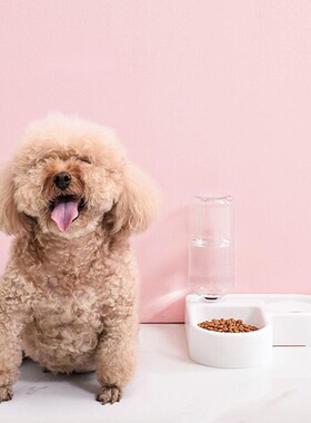 White small and medium-sized dog food bowl cat bowl pet supp