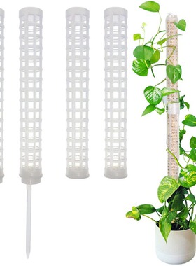 Moss column height 25CM Moss support Plant climbing and shap