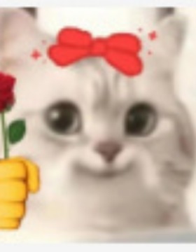 Black door blocker hotel anti-theft door stopper female sing