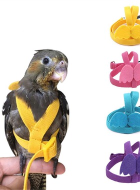 Flying rope is super lightweight and does not harm the feet.