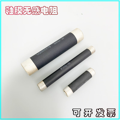 RI大功率高频管型无感釉膜电阻器25W50W100W200W300W400W500W50RM