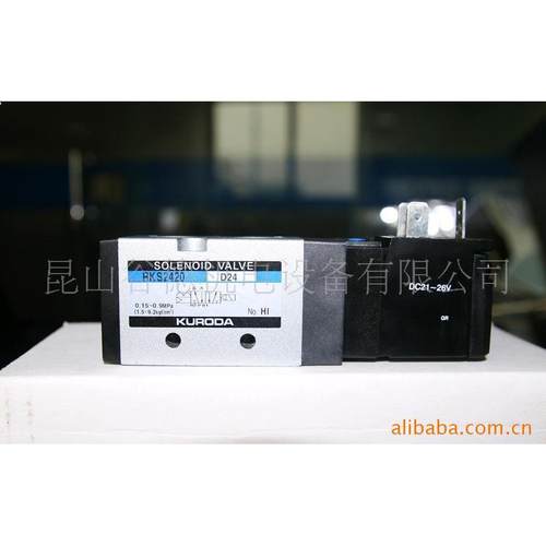 供应阀门RKS2420(图)