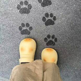猫爪印洞洞鞋女款夏季外穿卡通可爱猫咪防水防滑厚底增高包头拖鞋