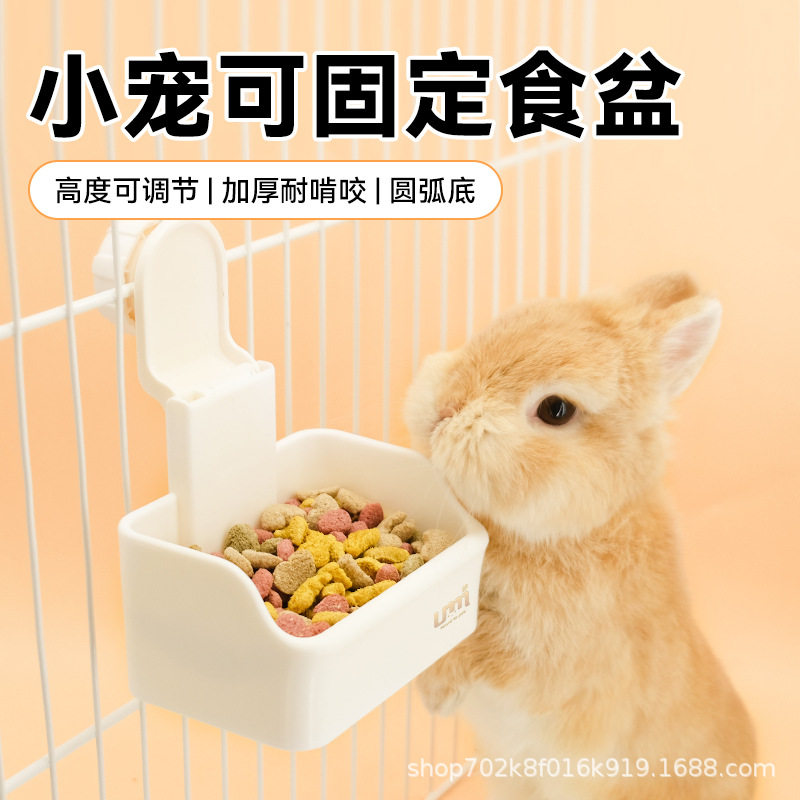 宠物小宠食盒兔子食盆龙猫荷兰猪