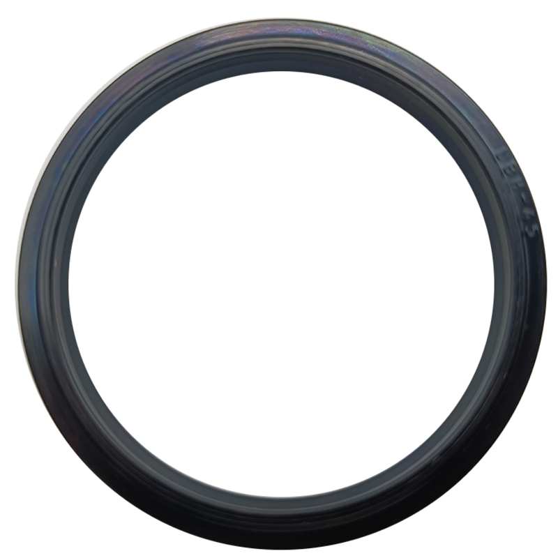 丁晴氟橡胶LBH防尘圈60/63/65/67/70*68/71/73/75/80*5/6.5DH油封