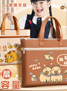 卡皮巴拉中小学生补课袋手提拎书袋美术包帆布袋大容量课本作业补习包防水A4孕妇产检资料学习拉链收纳文件袋