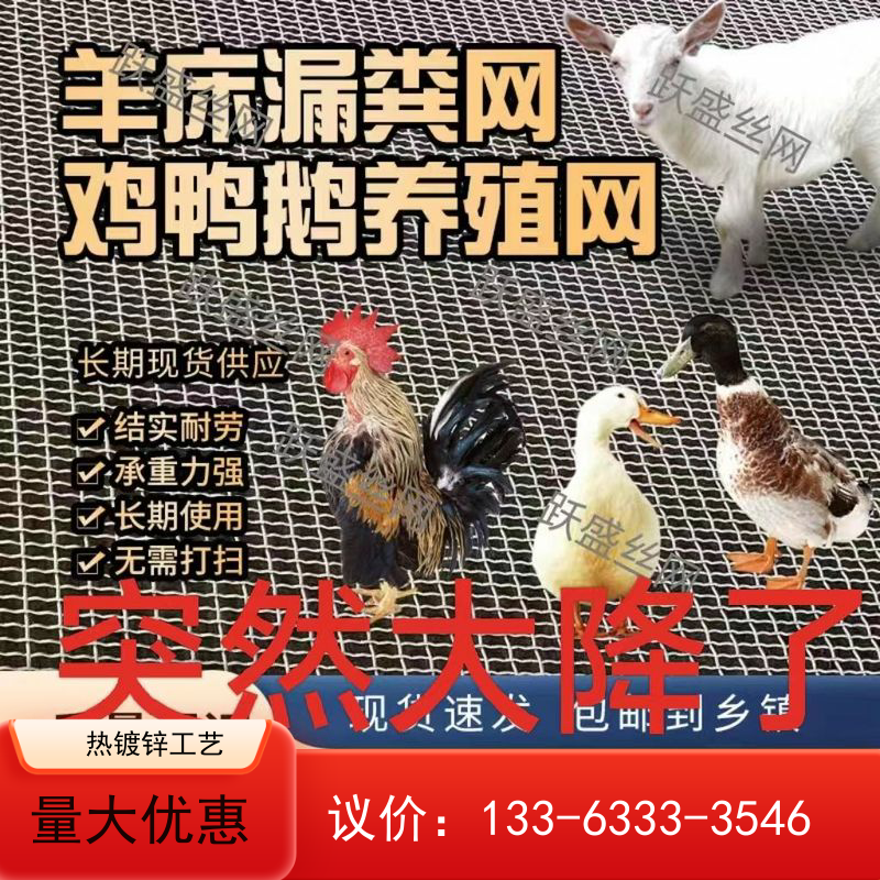 养羊床漏粪网羊床钢丝网围栏网