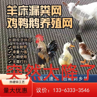 【不看后悔】养羊床漏粪网羊床钢丝网围栏网鸡鸭鹅底网养殖网羊圈