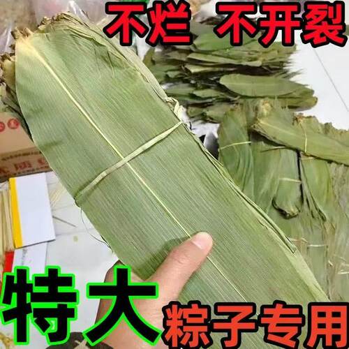 干粽叶特大号粽子叶免邮
