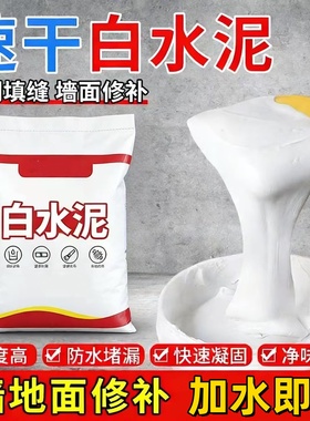 国标525白水泥家用防水防霉瓷砖填缝堵洞补墙地漏速干白色水泥胶