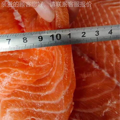 W鲜肉鸡水平切开片机 肉XHI切片机 鲜肉片机 鲜胸肉水平切片机