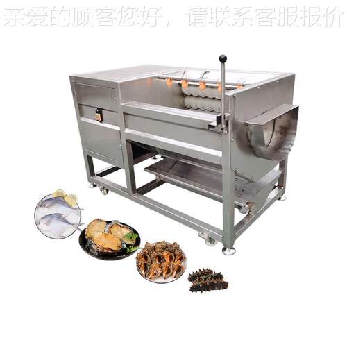 U型CJB毛辊清洗机 型红小薯土清洗去皮豆机设备