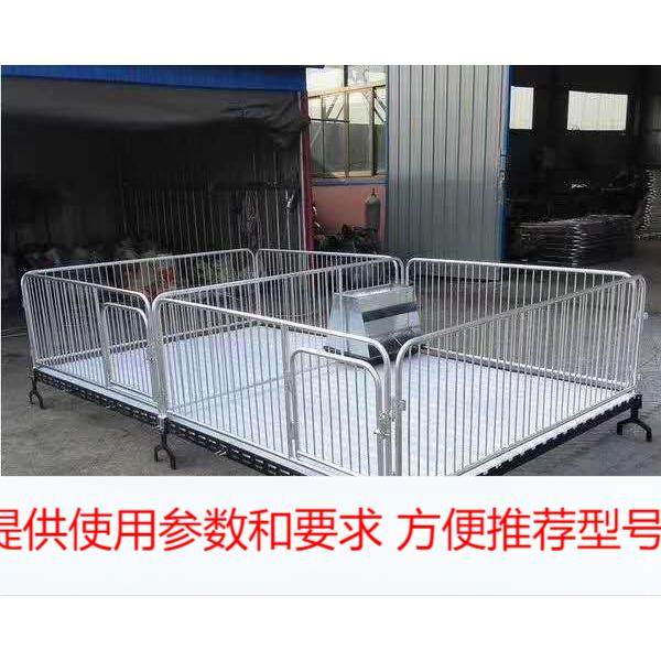 仔猪复合保育床国际热镀锌管带复合漏粪板和料槽养猪养殖牧畜设备,畜牧/养殖物资,养殖用具,淘宝优惠券,粉丝福利购,淘宝优惠卷