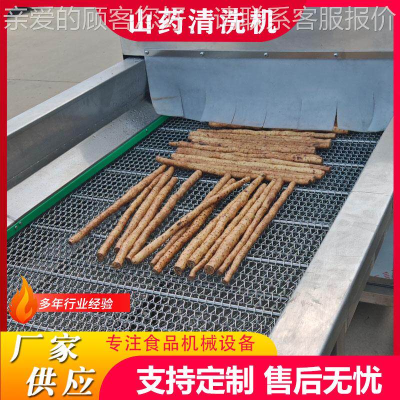 工业用中参药材清气泡清洗机设CZQXJ-80备丹高压喷淋洗机芪黄气泡