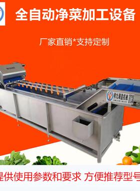 百香果清洗风干设备大型洗水果设备大型洗整颗菜机器超市蔬菜配送