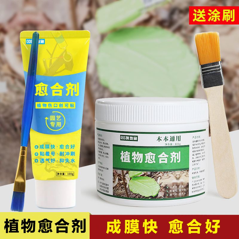 植物愈合剂盆景修剪扦插专用伤口愈合膏树木伤口封口涂补剂防腐烂