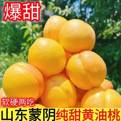 小金专属产地直发山东蒙阴黄金油桃带箱5斤 香甜多汁 软硬皆宜