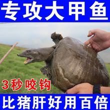 甲鱼饵料钓老鳖小药野钓王八乌龟诱饵甲鱼诱食剂钓甲鱼专用小药