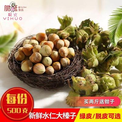 速发2025年新鲜大新货榛子东北带皮水仁水瓤桓仁平欧鲜生榛子500g