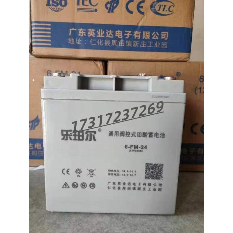 乐珀尔6-GFM-24蓄电池LP12V17 33 24 38 40 65 80 100AH消防UPS源