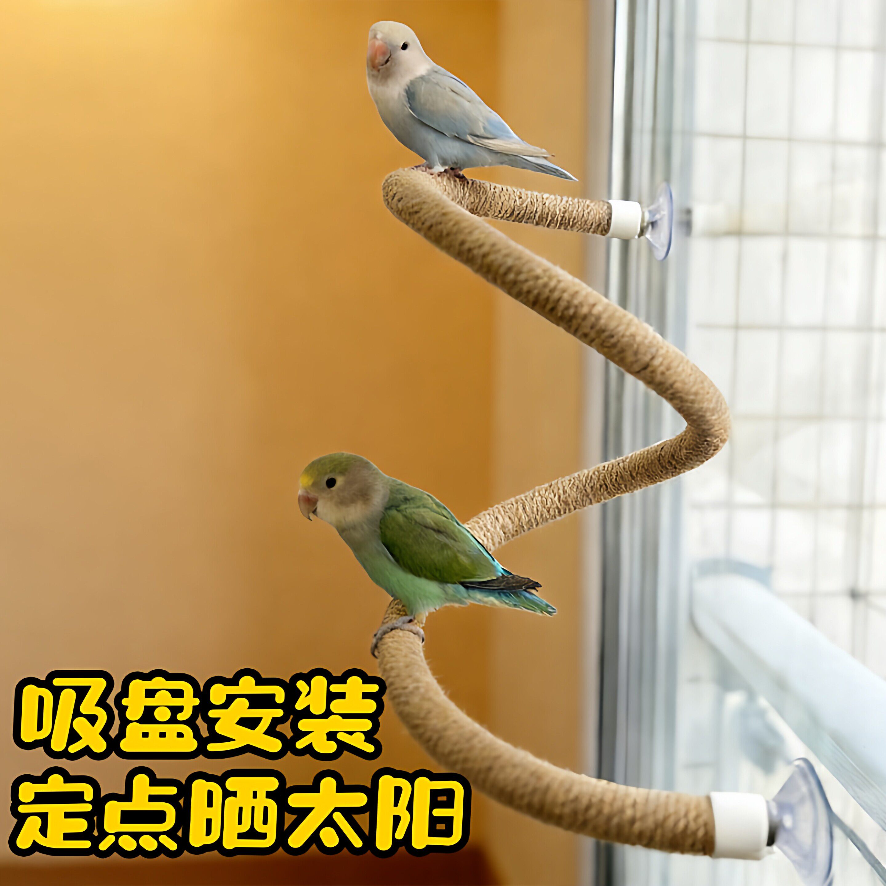 鹦鹉吸盘安装站台空中站架笼子玻璃磁砖可弯曲麻绳站杠爬棍玄凤鸟