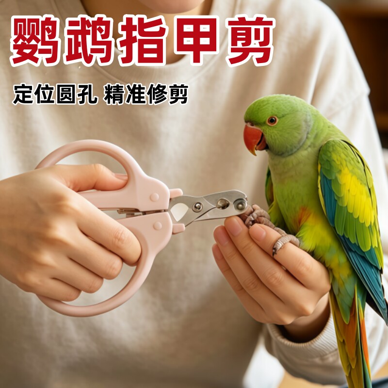 鹦鹉专用指甲剪小太阳修剪指甲钳子玄凤磨嘴磨爪器牡丹虎皮指甲刀