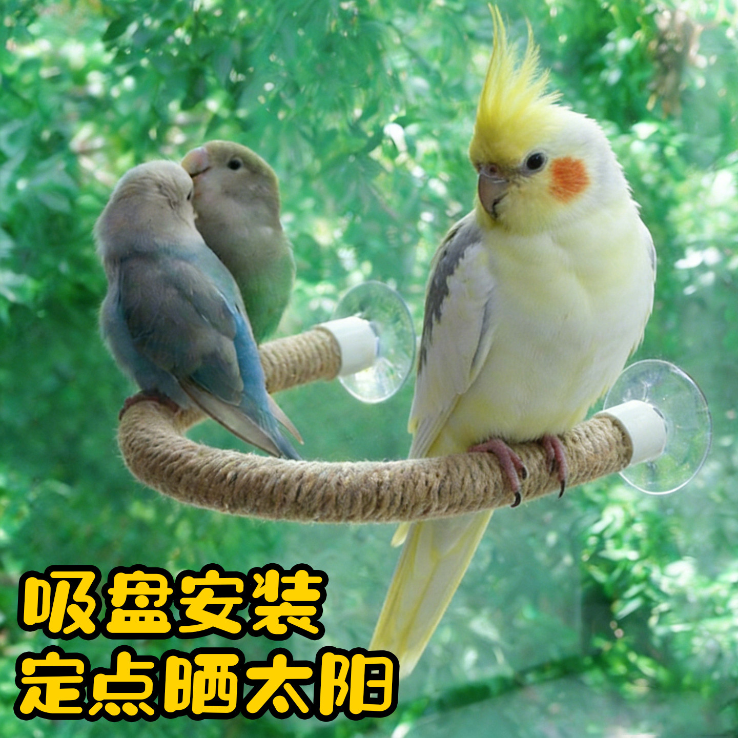 鹦鹉吸盘安装站台空中站架笼子玻璃磁砖可弯曲麻绳站杠爬棍玄凤鸟