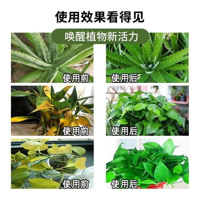 匀发吉尔玖龙台营养h液吉尔玖龙台免稀释植物营养液花卉室内盆栽