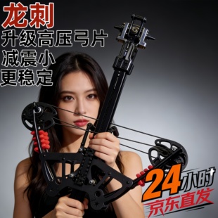 2025新款高精度龙刺两用复合弓超远射程箭珠两用复合弩弓户外精准