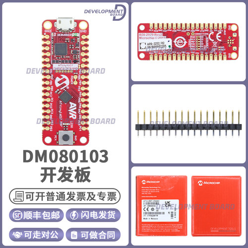 MicrochipDM080103开发板