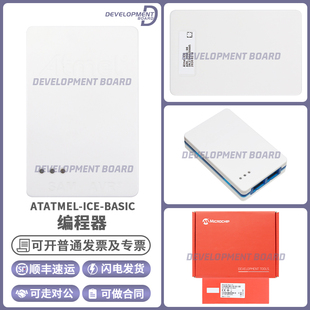ARM® BASIC AVR® 调试器仿真器编程器 在系统 ATATMEL 在线 ICE