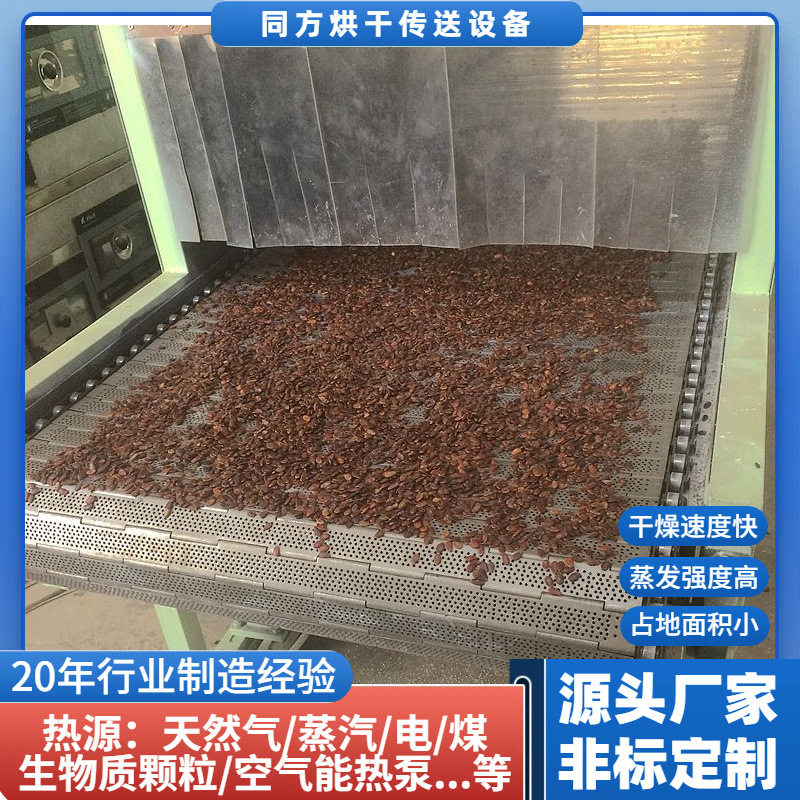 厂家供应小型链板食品干燥机 平板线瓜子花生干果热风烘干机定制