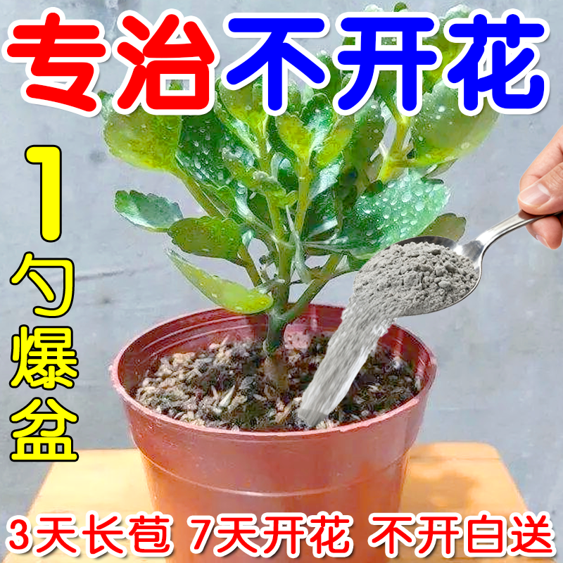铁树开花】促开花粉三角梅长寿花专用开花粉促开花爆花促花苞肥料