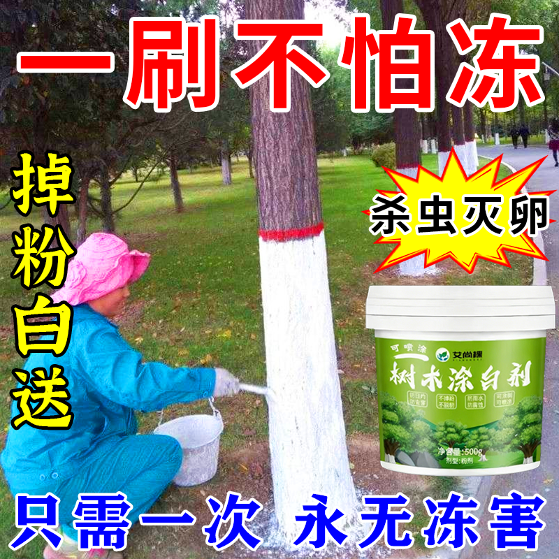 树木涂白剂防冻防日灼防虫害