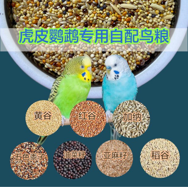大头小头虎皮自配谷子黍子加纳亚麻籽宠物用品鸟粮批发谷物草籽