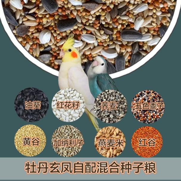 鹦鹉鸟粮牡丹玄凤鹦鹉鸟食种子粮谷子油葵燕麦米荞麦加纳利子鸟食