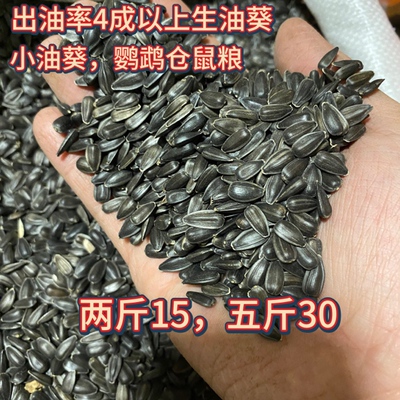 小油葵黑油葵鹦鹉仓鼠鸟食油料粮当季新货过筛过选批发光泽油量