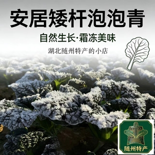 随州泡泡青菜5斤 矮杆打霜 富含叶绿素 安居镇产地直发 随州特产