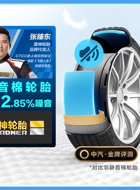 【航天稀土钕科技】雷神静悦Silence Pro205/50ZR17 89W XL包安装
