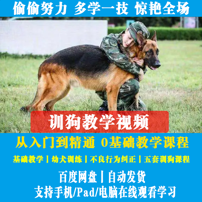 训狗教程视频 基础训狗学习 训犬技巧视频 幼犬训练教程 训犬师
